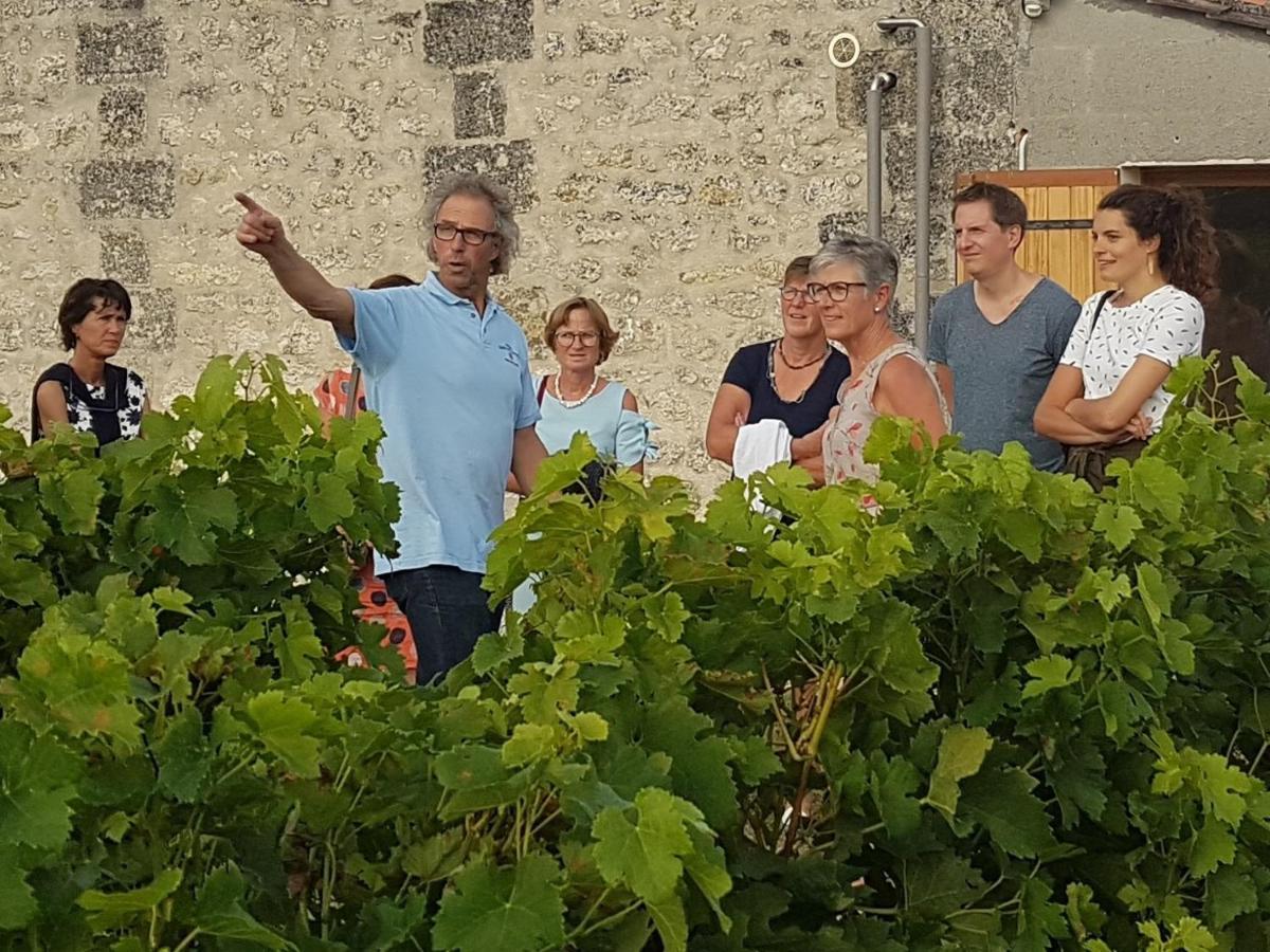 Hotel Le Coeur Des Vignes Pauillac Exterior foto